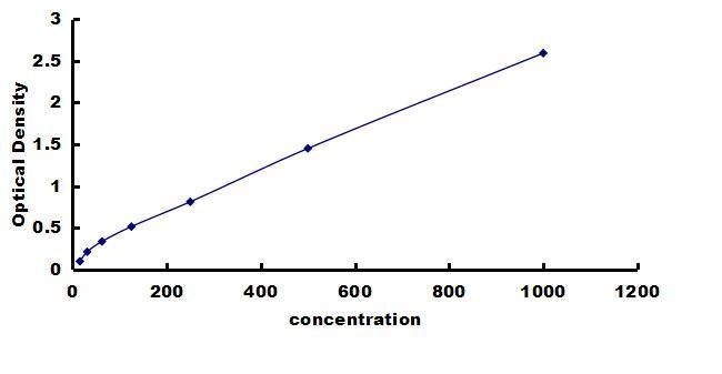 Equine VEGF ELISA Kit (Colorimetric) ELISA: Equine VEGF ELISA Kit (Colorimetric) [NBP3-42911]