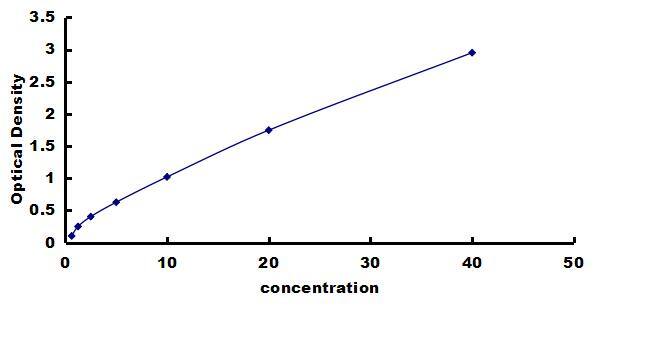 Rat LOX ELISA Kit (Colorimetric) ELISA: Rat LOX ELISA Kit (Colorimetric) [NBP3-42913]