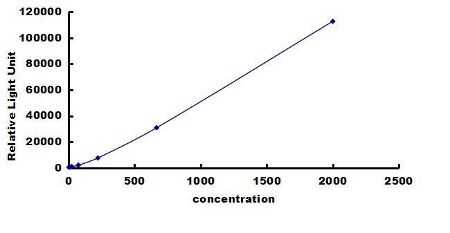 Rat TGF-beta 1 ELISA Kit (Chemiluminescence) ELISA: Rat TGF-beta 1 ELISA Kit (Chemiluminescence) [NBP3-43234]