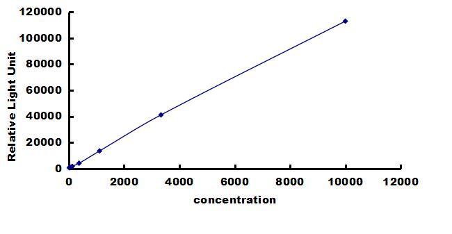 Porcine TGF-beta 1 ELISA Kit (Chemiluminescence) ELISA: Porcine TGF-beta 1 ELISA Kit (Chemiluminescence) [NBP3-43240]