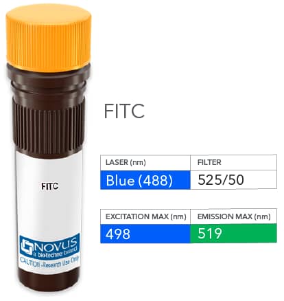 ST2/IL-33R Antibody (245707) [FITC]