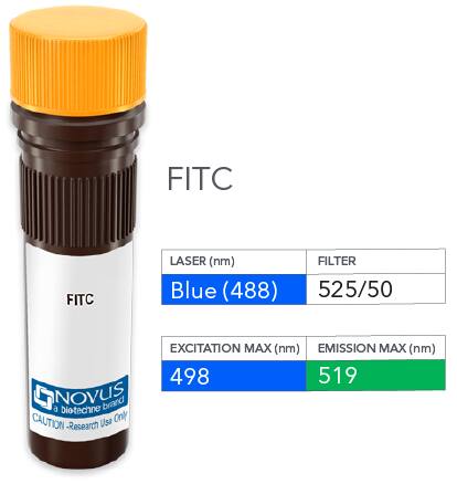 ST2/IL-33R Antibody (2154E) [FITC]