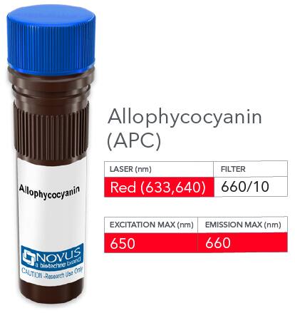 TNF-alpha Antibody (6402) [Allophycocyanin]