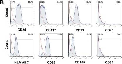 Detection of Human Endoglin/CD105 by Flow Cytometry