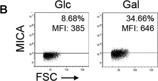 Detection of Mouse MICA by Flow Cytometry