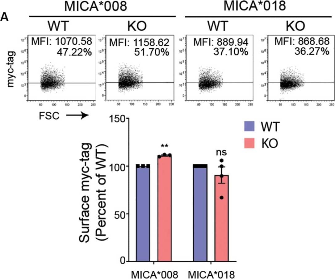 Detection of Mouse MICA by Flow Cytometry