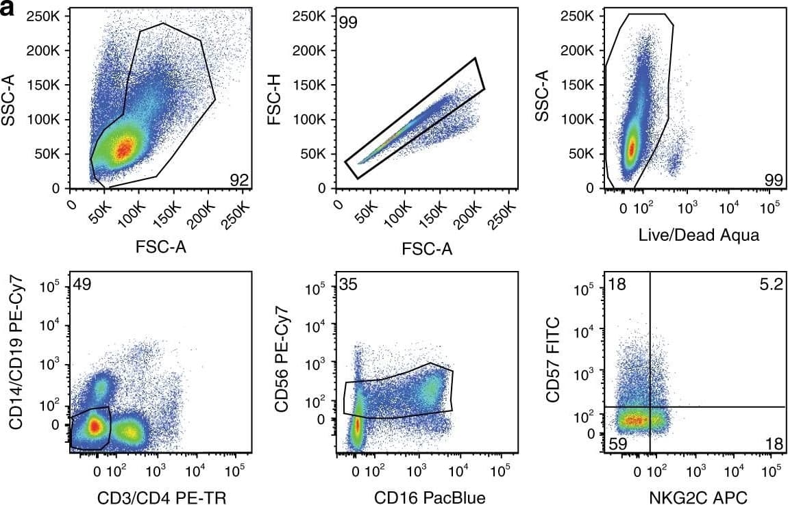 Detection of Human NKG2C/CD159c/KLRC2 by Flow Cytometry