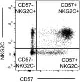 Detection of Human NKG2C/CD159c/KLRC2 by Flow Cytometry