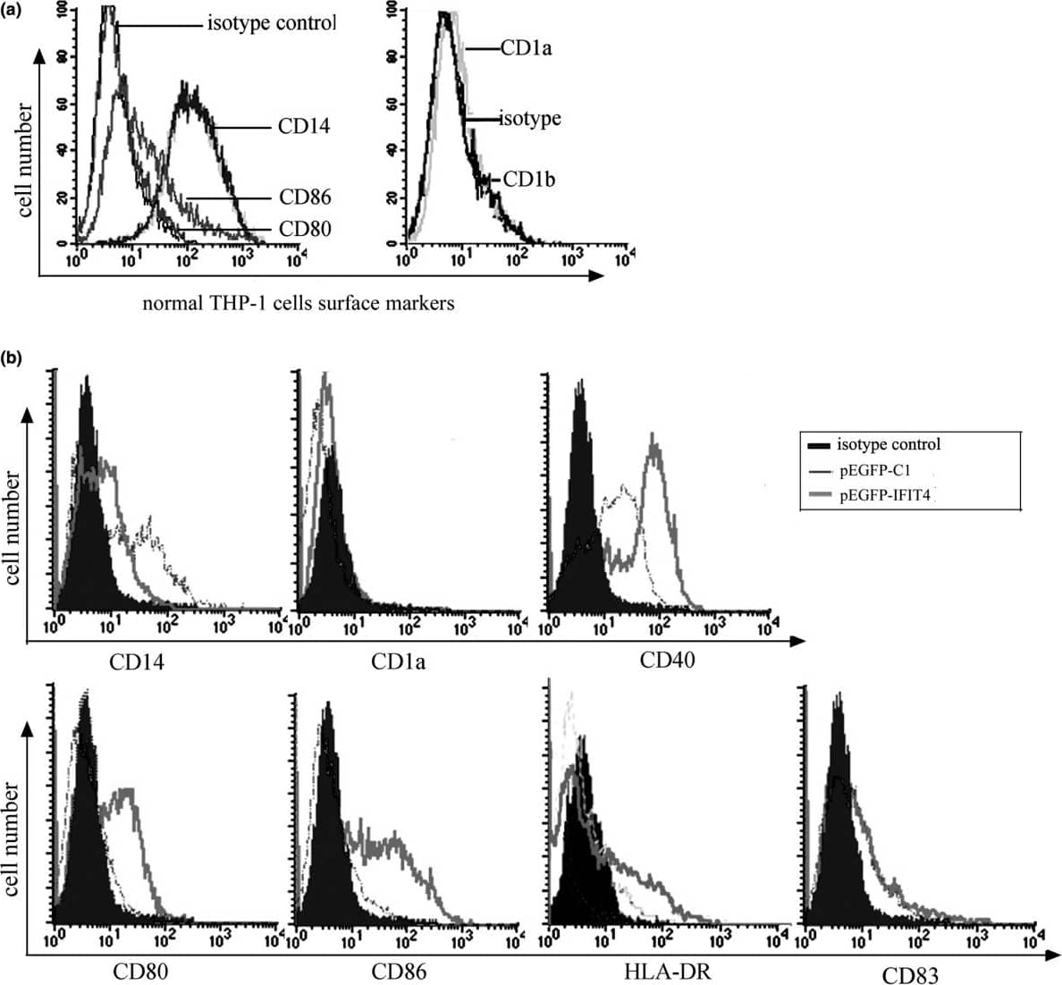 Human B7-1/CD80 PE-conjugated Antibody (FAB140P) By R&D Systems, Part ...