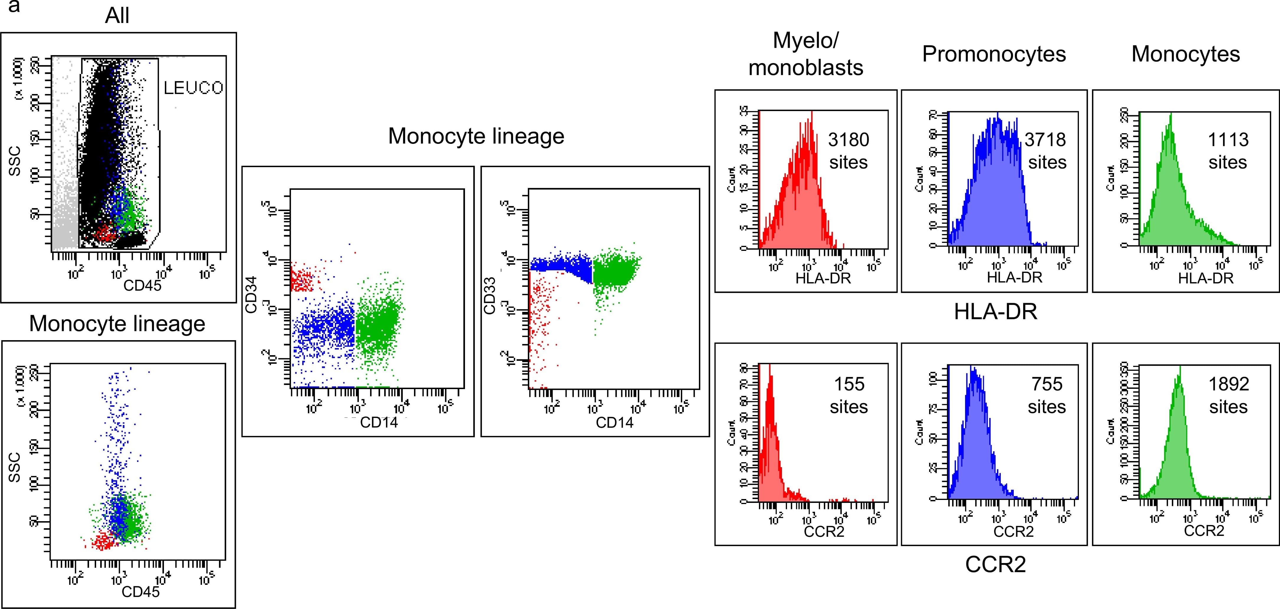 Detection of Human CCR2 by Flow Cytometry Detection of Human CCR2 by Flow Cytometry