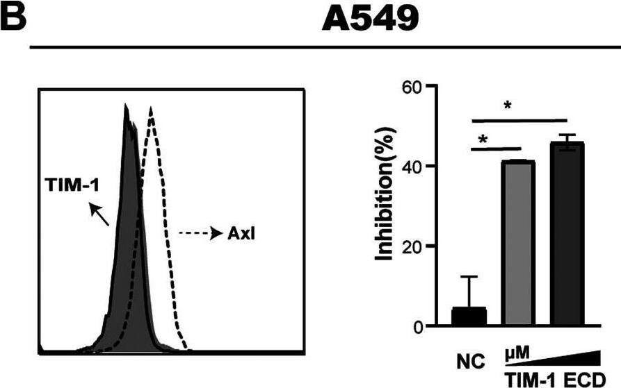Detection of Axl by Flow Cytometry