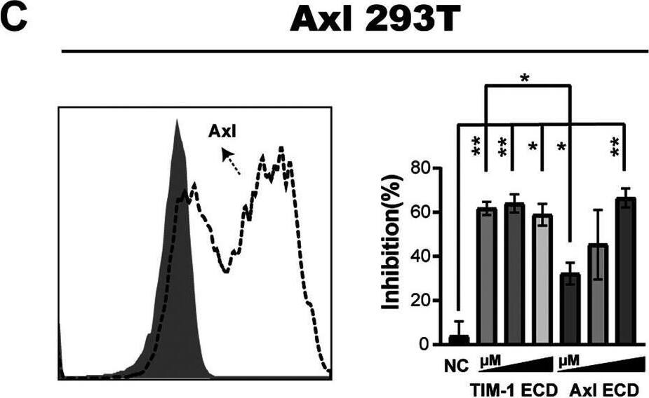 Detection of Axl by Flow Cytometry