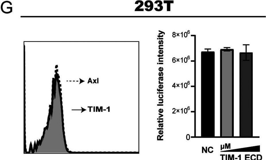 Detection of Axl by Flow Cytometry