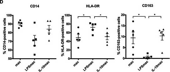 Detection of Human CD163 by Flow Cytometry
