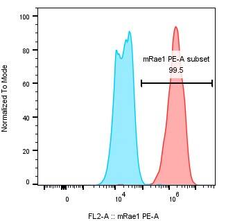 Detection of Rae-1 in AT-3 Mouse Cell Line by Flow Cytometry.
