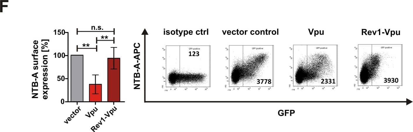 Detection of Human NTB-A/SLAMF6/CD352 by Flow Cytometry