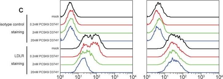Detection of Human LDLR by Flow Cytometry