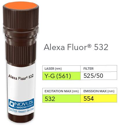 NKp46/NCR1 Antibody (29A1.4) [Alexa Fluor® 532]