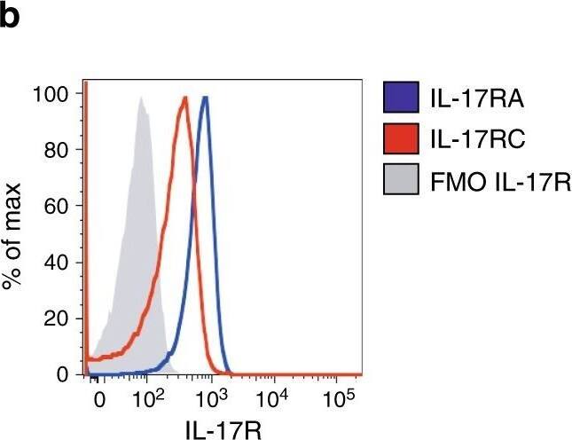 Detection of Mouse IL-17RC by Flow Cytometry