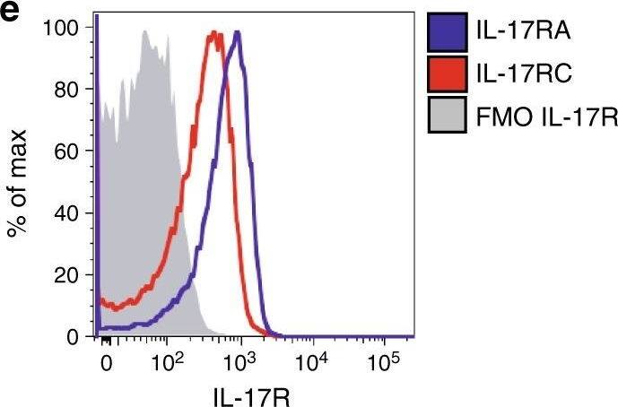 Detection of Mouse IL-17RC by Flow Cytometry