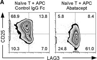 Detection of Human LAG-3 by Flow Cytometry