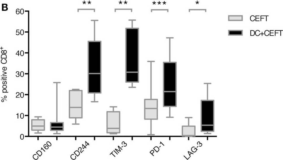 Detection of Human TIM-3 by Flow Cytometry