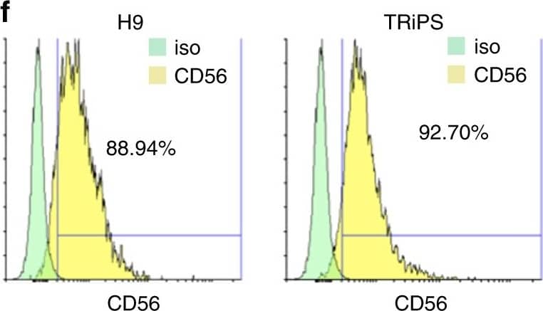 Detection of Human NCAM-1/CD56 by Flow Cytometry