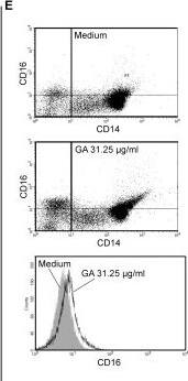 Detection of Human Fc gamma RIII (CD16) by Flow Cytometry