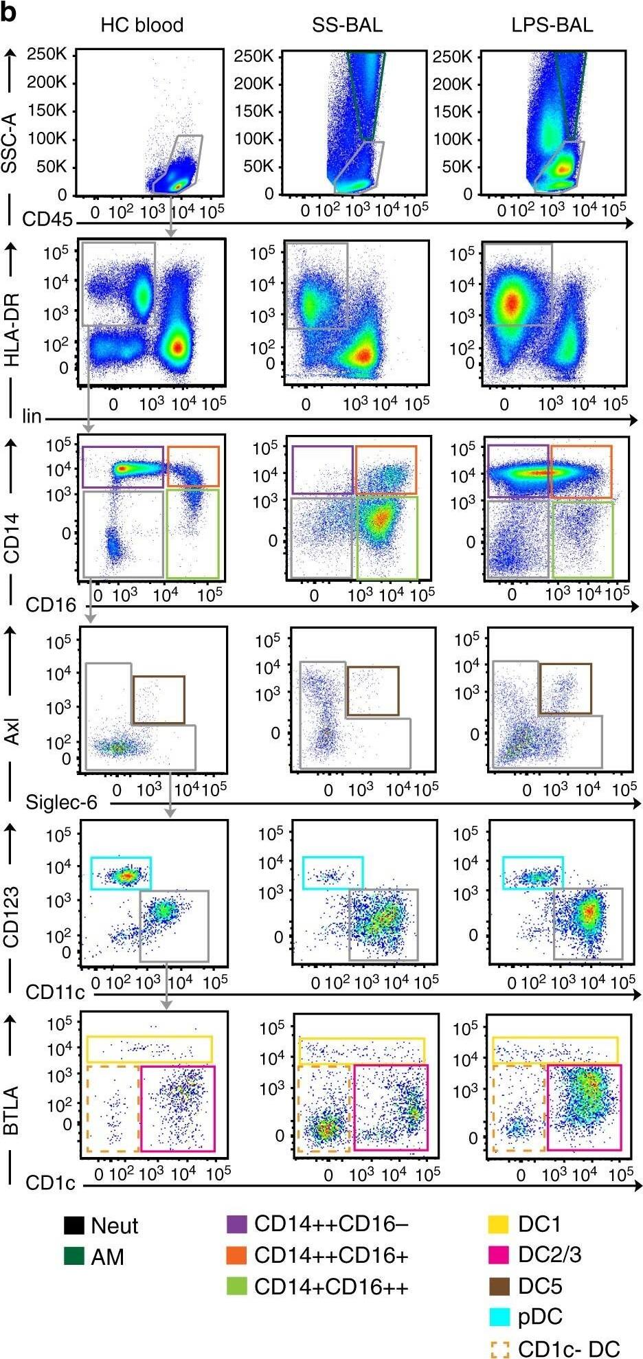 Detection of Human Siglec-6/CD327 by Flow Cytometry