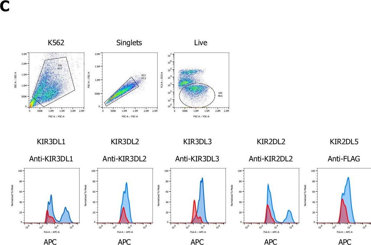 Detection of Human KIR3DL2/CD158k by Flow Cytometry