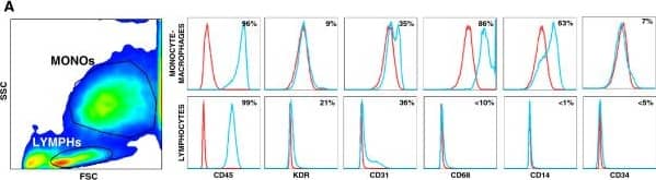 Detection of Human VEGFR2/KDR/Flk-1 by Flow Cytometry