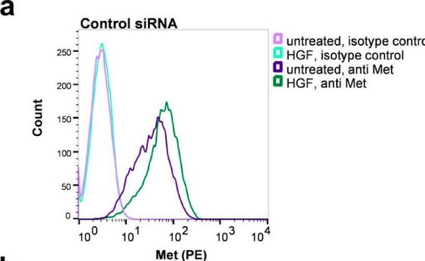 Detection of HGFR/c-MET by Flow Cytometry