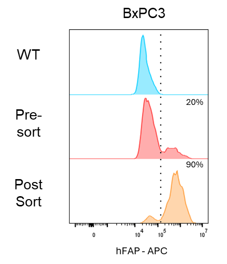 Detection of Fibroblast Activation Protein alpha/FAP in BxPC3 pancreatic cancer cells by Flow Cytometry.