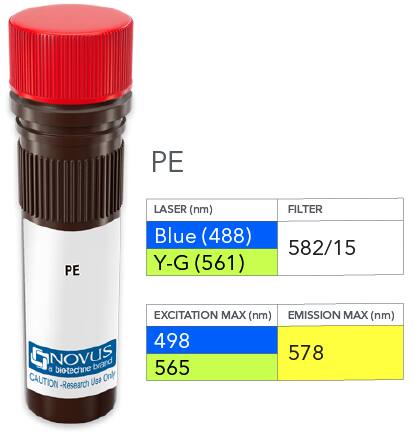 CD8 Antibody (RPA-T8) [PE]