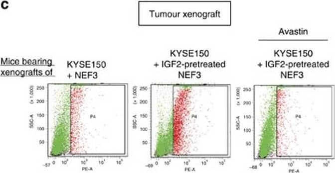 Detection of Mouse VEGFR1/Flt-1 by Flow Cytometry