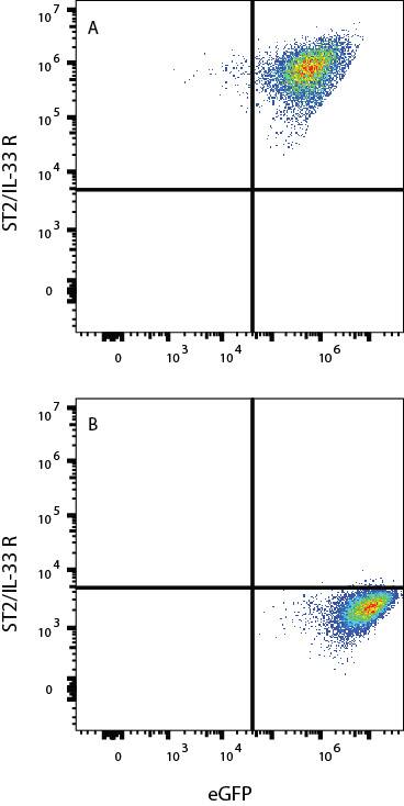 ST2/IL-33R Antibody (2154B) [PE]