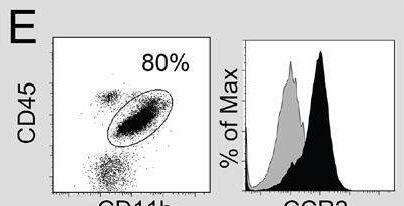 Detection of CCR2 by Flow Cytometry