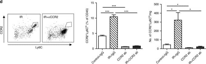 Detection of Mouse CCR2 by Flow Cytometry