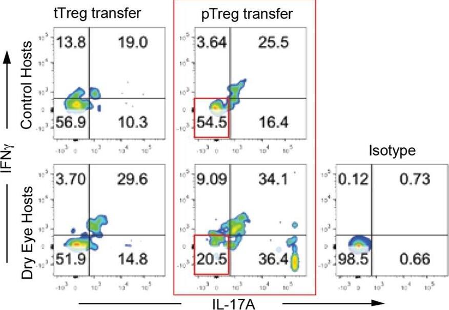 Detection of Mouse Neuropilin-1 by Flow Cytometry
