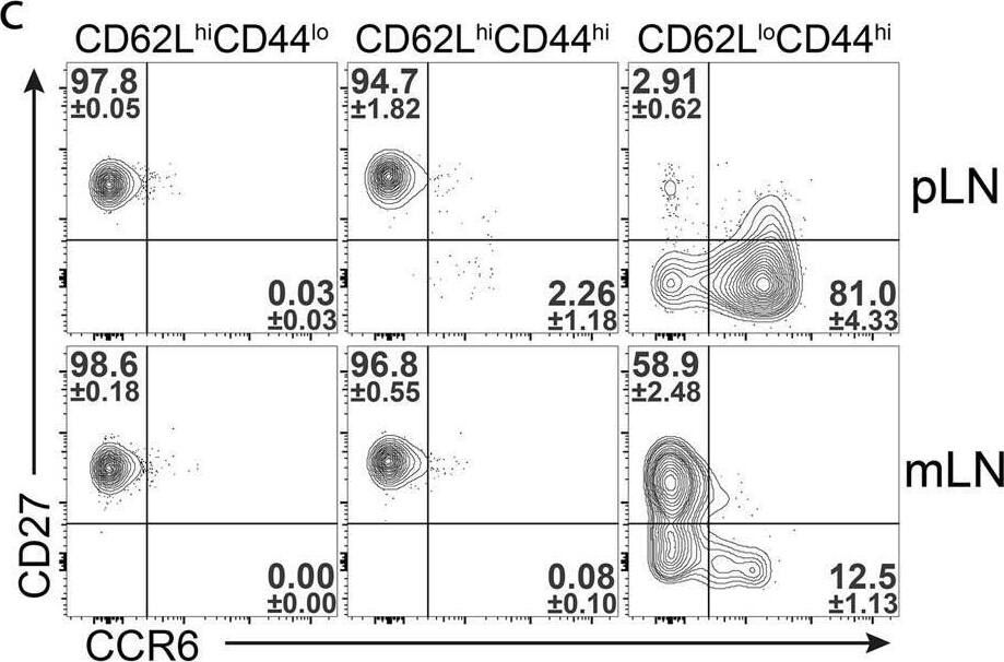 Detection of CCR6 by Flow Cytometry
