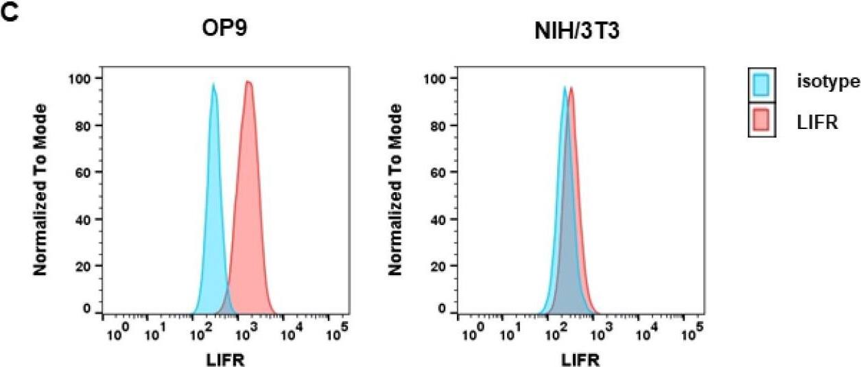 Detection of Mouse LIFR alpha by Flow Cytometry