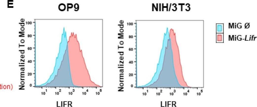 Detection of Mouse LIFR alpha by Flow Cytometry