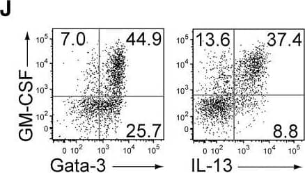 Detection of Mouse GM-CSFR alpha by Flow Cytometry