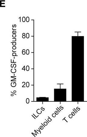 Detection of Mouse GM-CSFR alpha by Flow Cytometry