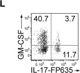 Detection of Mouse GM-CSFR alpha by Flow Cytometry