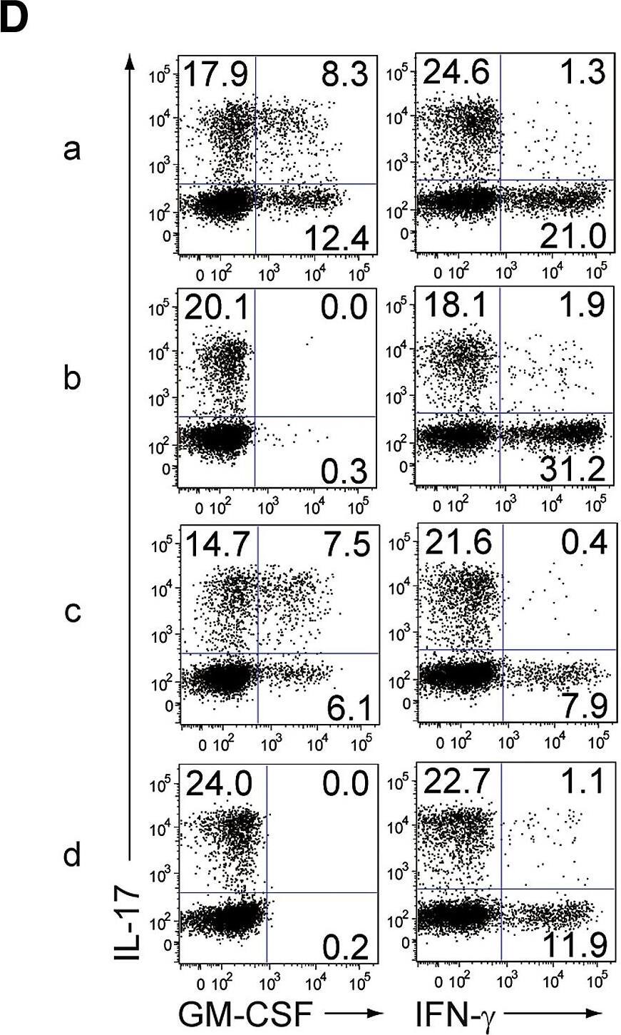 Detection of Mouse GM-CSFR alpha by Flow Cytometry