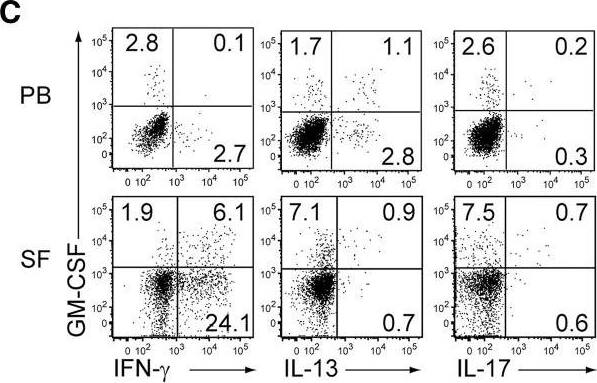 Detection of Mouse GM-CSFR alpha by Flow Cytometry