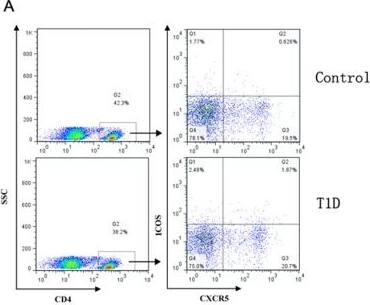 Detection of Human CXCR5 by Flow Cytometry