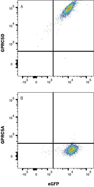 GPRC5D Antibody (571932) [PE]