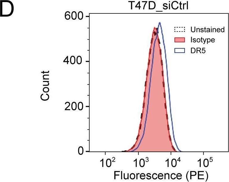 Detection of TRAIL R2/TNFRSF10B by Flow Cytometry
